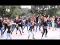 FLASHMOB | 17 SECTOR CHANDIGARH | THE DANCE MAFIA, RIPANPREET SIDHU',9501915706