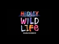 Hedley - Wild Life (Piano Instrumental)