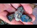 Beach Rocks made Blue