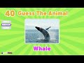 Guess 60 Animals by Image 🦁🐷🐔 l Easy,Medium,Hard