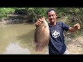 Akhirnya di temukan !! spot ikan gurame liar yg lagi viral di kalimantan