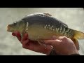 Match Masterclass - Waggler Fishing