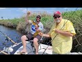 Bullheads on the St Johns River