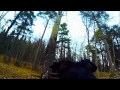 Slo-Mo Test - Dog Mounted GoPro 3+ Black Edition