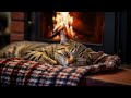 Cozy Room Ambience with Cat Purring 🔥 Fireplace And Purr Sound Help You Reduce Stress, Sleep Better