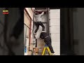 TOTAL IDIOTS AT WORK! Top Funny Compilation 2024 - Top Funny Fail Compilation #163