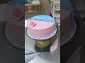 baby girl/baby boy |pink&blue theme cake buttericing