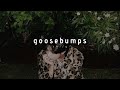 'goosebumps' - travis scott & chase atlantic (sped up)