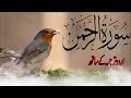 SURAH RAHMAN TARJUMA KE SATH QARI AL SHAIKH ABDUL BASIT ABDUL SAMAD Part 04