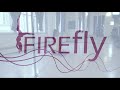 Aerial silks - Skyfall (Adele) Firefly summer party performance