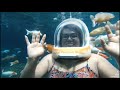 alangkah bahagianya aku duduk santai bersama ikan koki.#umbulponggok @hanifachannel2756