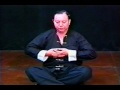 Pak Mei Kung Fu ~ Master Man Kwong Fong 1995