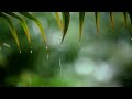 10 Hours Relaxing Sleep Music with Rain Sounds -.- Meditation Music, Stress Relief, Relaxing Music