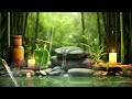 Relaxing Piano Music Bamboo Water Fountain, Sleep Music, Nature View, Spa Music, Stress Relief