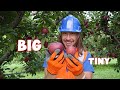 Handyman Hal explores yummy foods for kids