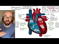 Path of Blood Flow through the Heart | Step by step through every chamber, valve, and major vessel