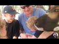 Best Collection Of Baby Go To The Zoo For The First Time || Peachy Vines