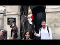 LADY RUSHED to get the POLICE, But ARNIE is Busy BITING people at the Horse GUARDS