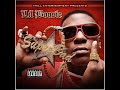 Lil Boosie: Bank Roll