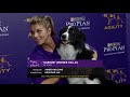 Best of the 2018 Masters Agility Championships | WESTMINSTER DOG SHOW (2018) | FOX SPORTS
