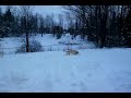 KODY SWIMMING IN THE DEEP SNOW -- 2012.03.02
