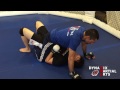 Brazilian Jiu-Jitsu in Los Angeles Mount Escape and Punch Defense with Henry Akins