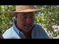 Fresh Lau Lau & Abalone in Hawaii | Bizarre Foods with Andrew Zimmern | Travel Channel