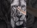 Huge Realistic Lion Drawing in Charcoal