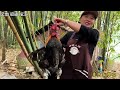 Honghe  Yunnan  Experience China's Last Train Fair  Eat White River Bridge Cool Chicken and Feel Na
