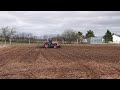 MF135 with a Massey Ferguson harrow