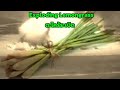 Exploding Lemongrass