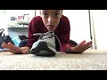 How to do shoelaces! Simple tutorial!