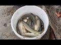 Fishing with Excavator / Eskavatör ile Balık Avı / İnanılmaz / Unbelievable