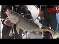 Northern Manitoba Lake Trout Fishing