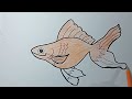 Paint and draw easily | learn to draw fish