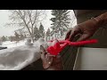 Playing in the Snow ASMR