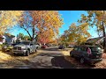 Sacramento Drive: Leaf Piles in Land Park Neighborhood – Autumn 2020