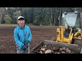 干ばつで牧草が枯れたので「草地更新」！沢山の石が採れました。