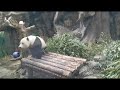 Beijing Zoo in China