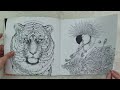 All my completed pages in Kerby Rosanes books #update #kerbyrosanes