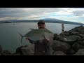 Fishing Hilo Hawaii Breakwall // When A Plan Comes Together