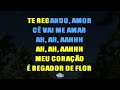 ⭐ Flor (Meu Coração é Regador de Flor, Te Regando, Amor) - Jorge e Mateus (Karaokê Version) (Cover)