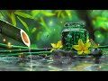 Healing Music for The Heart and Blood Vessels 🌿 Bamboo, Relaxing Music, Nature Sounds, Zen Music