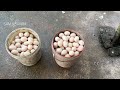 Harvesting MUSCOVY DUCK Eggs - Process of Raising MUSCOVY DUCK for Eggs.