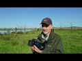 Panasonic G9 II First Impressions For Wildlife Photography