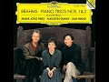 Brahms: Piano Trio No. 1 in B Major, Op. 8 - I. Allegro con brio