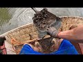 You Will Literally NEVER Believe This INSANE Magnet Fishing Jackpot!