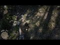Red Dead Redemption 2, Ramping my horse