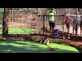 Malcolm Douglas Crocodile Park Broome Part 3