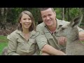 Morning kangaroo feed with Bindi & Chandler | Australia Zoo Life
